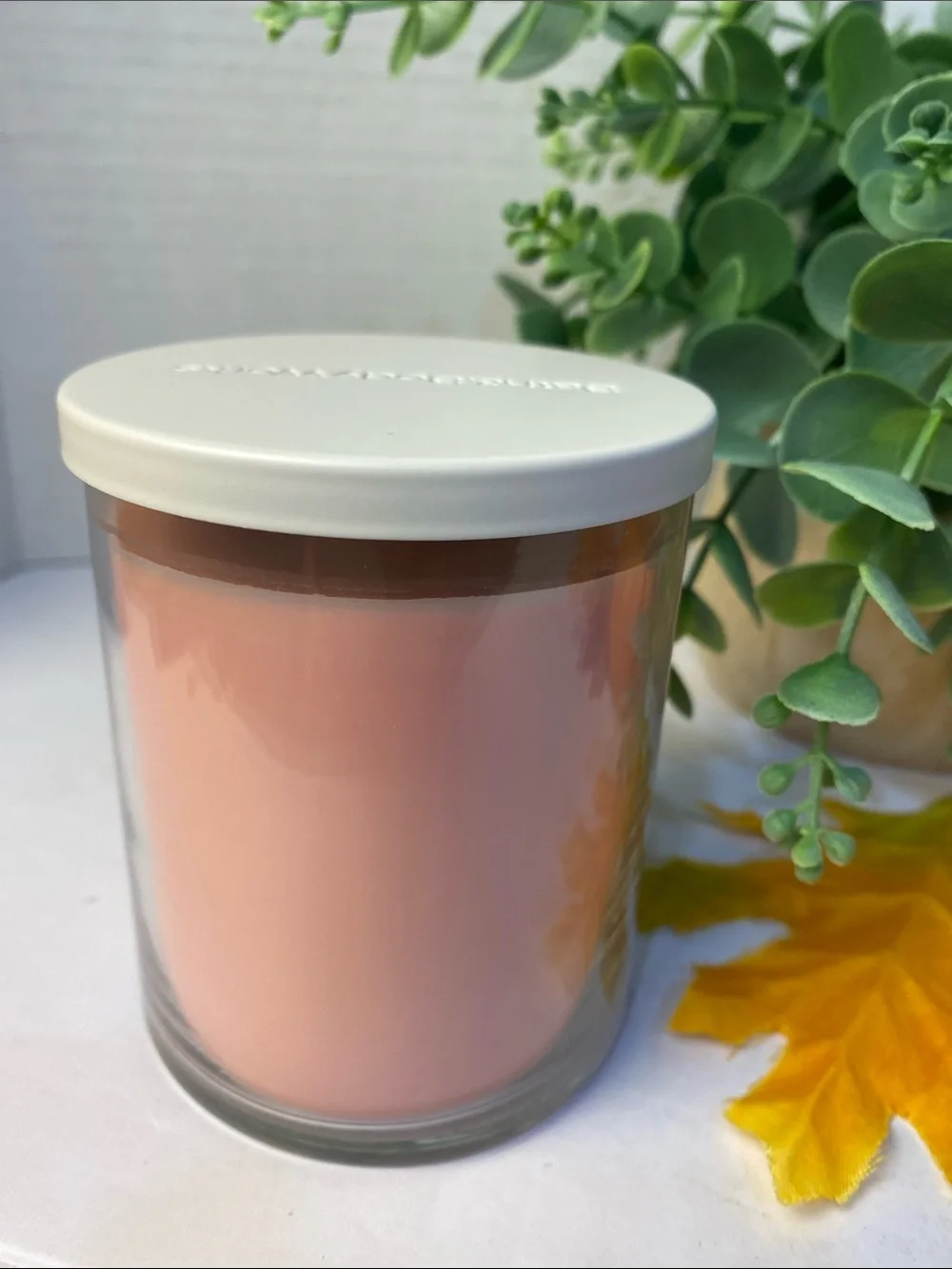 “Champagne Apple & Honey” Bath & Body Works New Single Wick Candle